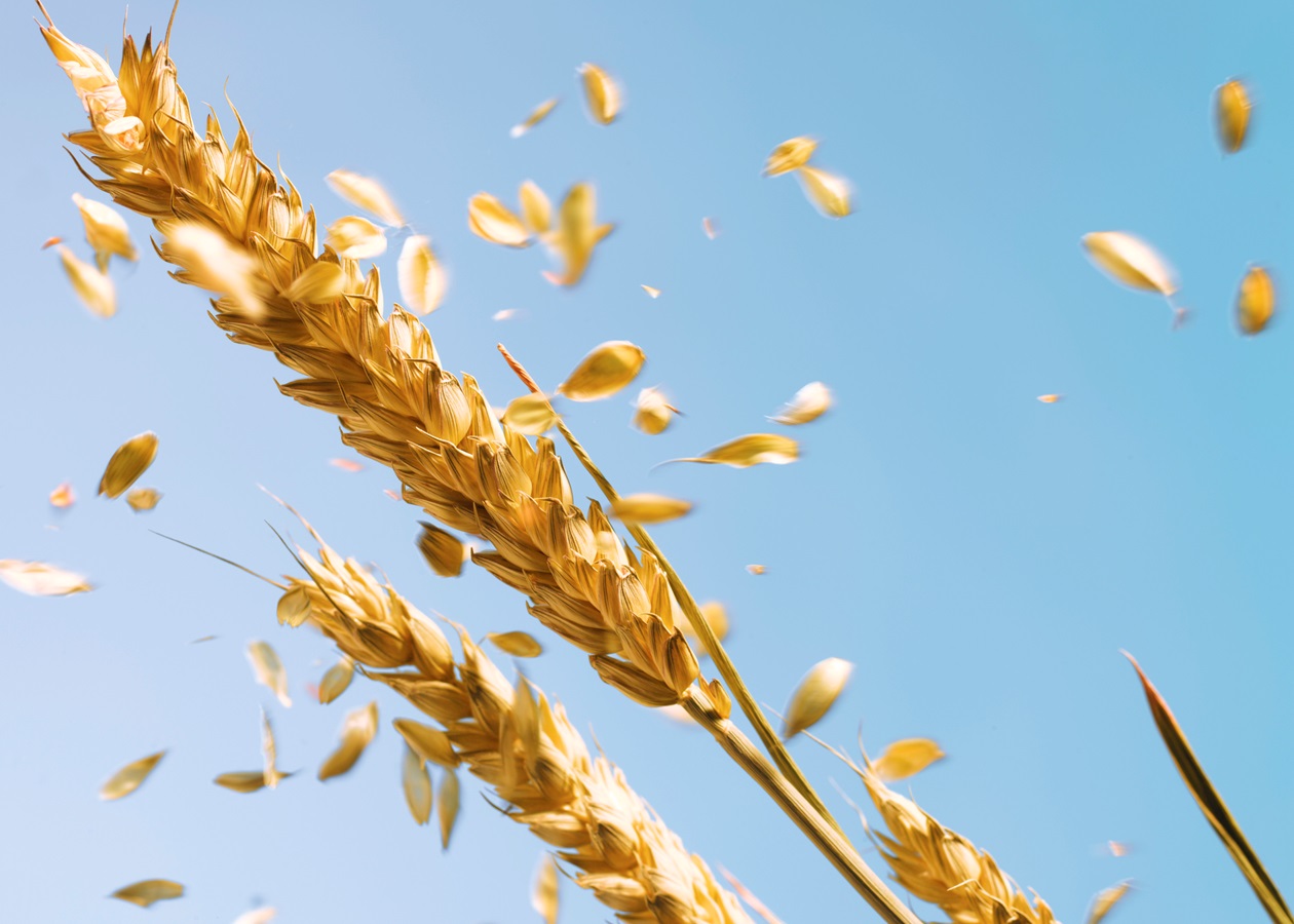 Війна в Ірані розганяє ціни на продовольство