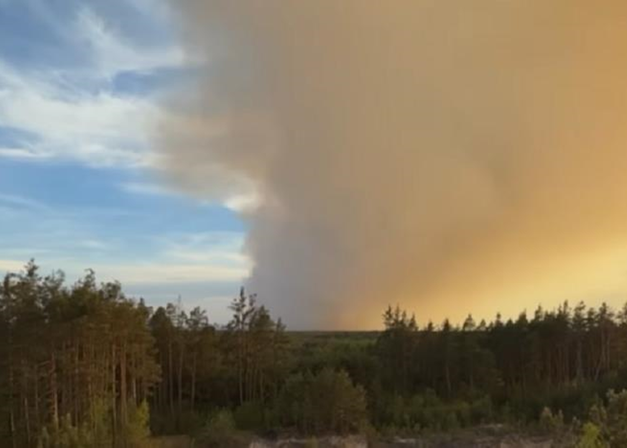 У Польщі під час гасіння лісової пожежі розбився літак
