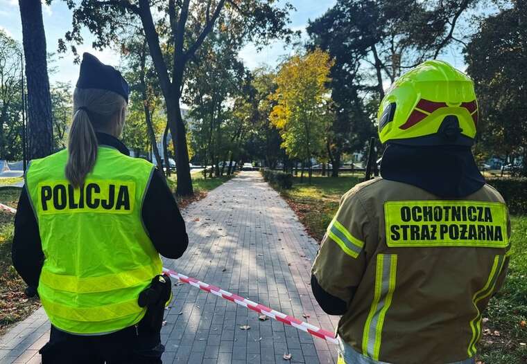 «Кривава п’ятниця» в шкільних чатах: після вбивства працівниці школи в Польщі перевіряють тривожні повідомлення